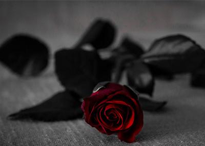 Six characteristics of the luggage customization industry