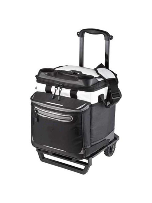 CB-E-004 Arctic Zone® Titan Deep Freeze® Rolling Cooler.jpg